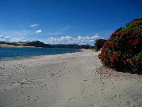 Hokianga Haven B & B - Accommodation New Zealand 7