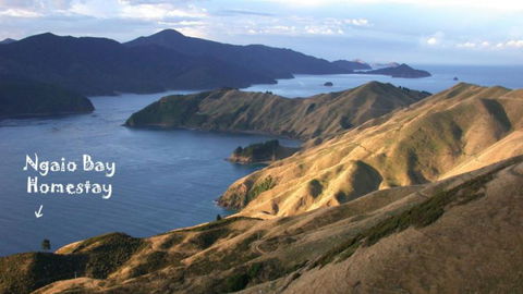 Ngaiobay Ecostay - Accommodation New Zealand 0