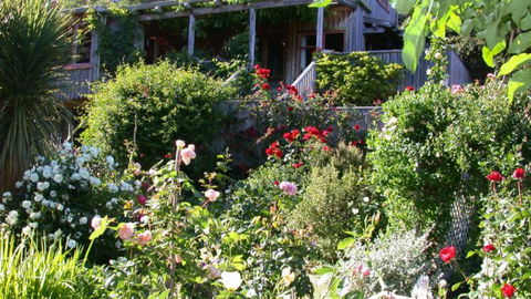 Ngaiobay Ecostay - Accommodation New Zealand 1