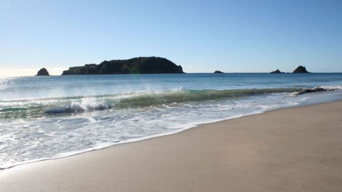 Hahei Horizon Bed & Breakfast - Accommodation New Zealand 8