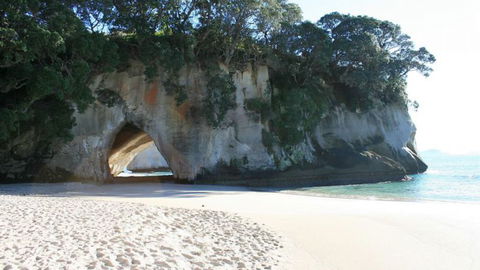 Hahei Horizon Bed & Breakfast - Accommodation New Zealand 9