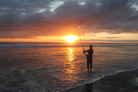 Fish Far North - Accommodation New Zealand 2