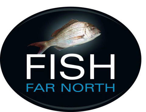 Fish Far North - Accommodation New Zealand 3