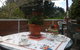 The Old Post Office Guest House - thumb 2