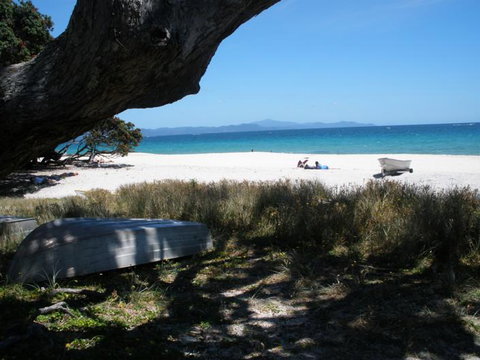Andrea's Bed And Breakfast - Accommodation New Zealand 15