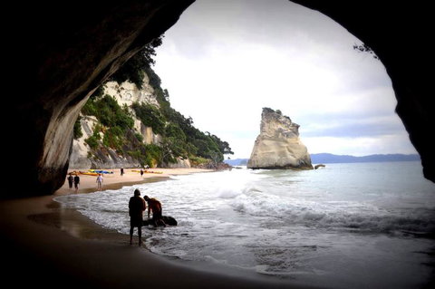 Andrea's Bed And Breakfast - Accommodation New Zealand 17