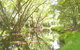 Aoraki Cottage B&B/Adventure Farm Stay - thumb 2