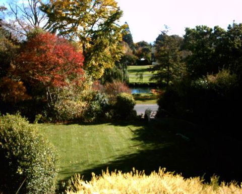 Pool House B&B - Accommodation New Zealand 3