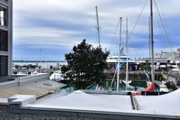Paradise Quay - Auckland Holiday Apartment 