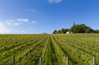 Kina Beach Vineyard Cottages