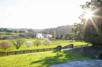 Lakeview Lodge Karapiro