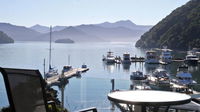 Picton Waterfront Luxury Apartments