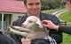 Rural Holidays NZ Ltd - thumb 0