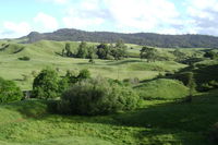 Maungakawa Views New Zealand Farmstays