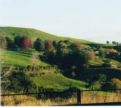 Maungakawa Views New Zealand Farmstays - Accommodation New Zealand 13