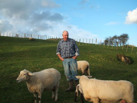 Maungakawa Views New Zealand Farmstays - Accommodation New Zealand 14
