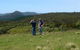 Chaslands Farm Cottages - thumb 5