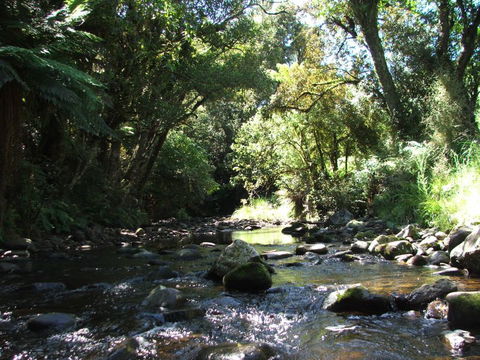 Chaslands Farm Cottages - Accommodation New Zealand 6