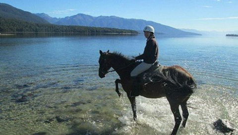 Kepler Oaks Chalet - Accommodation New Zealand 13