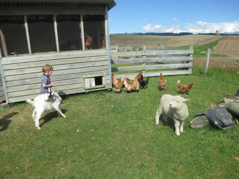 Kepler Oaks Chalet - Accommodation New Zealand 19