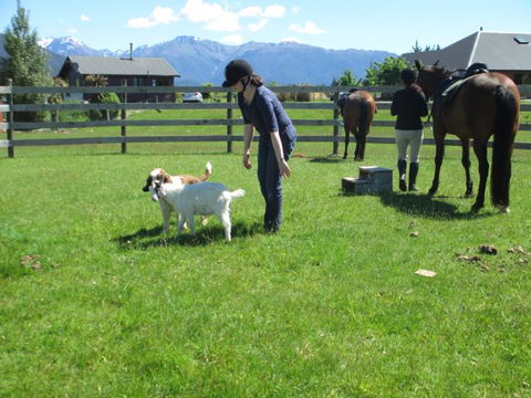 Kepler Oaks Chalet - Accommodation New Zealand 22