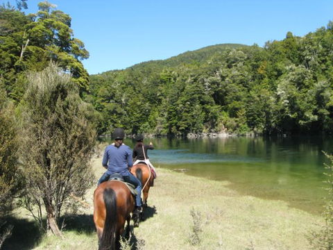 Kepler Oaks Chalet - Accommodation New Zealand 37