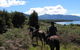 Kepler Oaks Chalet - thumb 38
