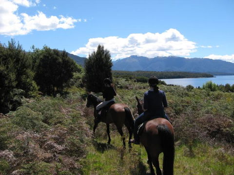 Kepler Oaks Chalet - Accommodation New Zealand 38