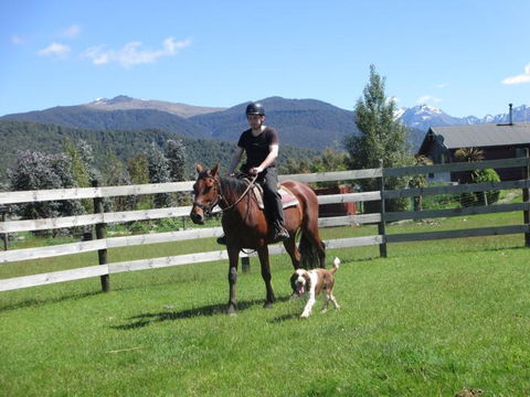 Kepler Oaks Chalet - Accommodation New Zealand 42