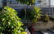 Roselands Chalet Accommodation - thumb 0