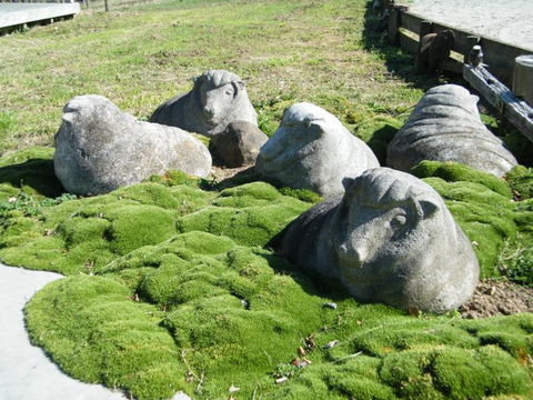 The Woolshed, Cassie's Farm - Accommodation New Zealand 7