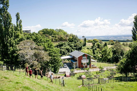 The Pear Orchard Lodge - Accommodation New Zealand 3