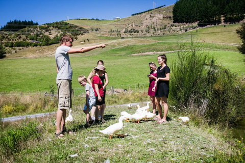 The Pear Orchard Lodge - Accommodation New Zealand 22