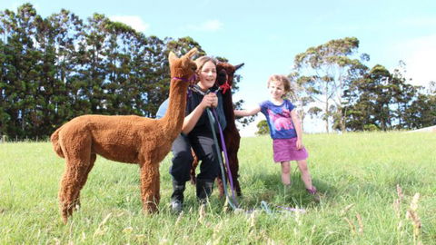 Pukeatua Farmstay - Accommodation New Zealand 7