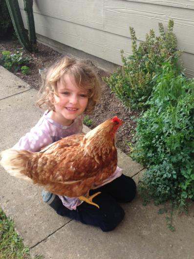 Pukeatua Farmstay - Accommodation New Zealand 8