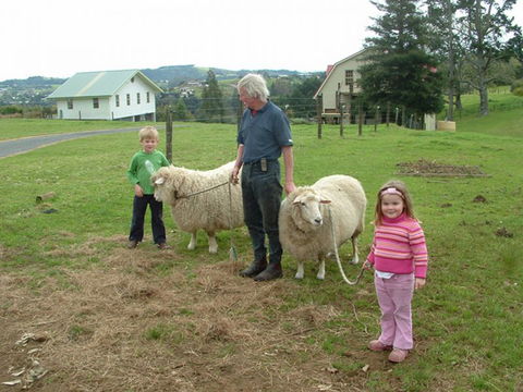 The Carriage House - Bay Of Islands - Accommodation New Zealand 2