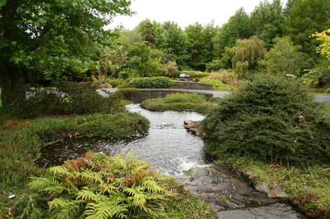 Aroha - Your Kiwi Farmhouse Experience - Accommodation New Zealand 2