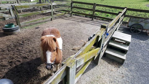 Aroha - Your Kiwi Farmhouse Experience - Accommodation New Zealand 3