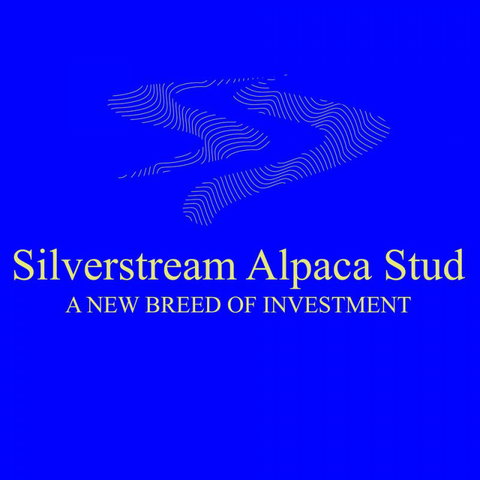 Silverstream Alpaca Farmstay - Accommodation New Zealand 1
