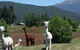 Kepler Mountain View Alpaca Cottage - thumb 2
