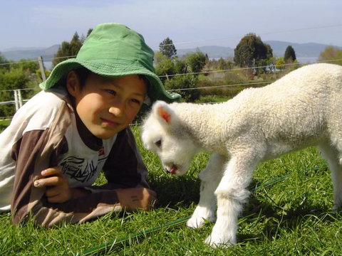 Broekhaven Country Cottage - Accommodation New Zealand 10
