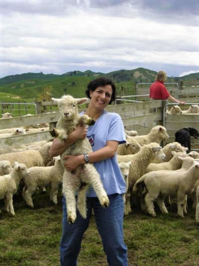 Mt Huia Farmstay - Hodd Cottage - Accommodation New Zealand 9