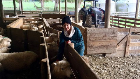 Mt Huia Farmstay - Hodd Cottage - Accommodation New Zealand 13