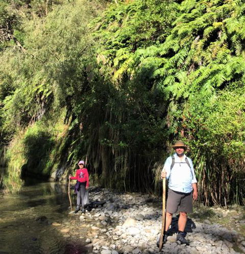 Mt Huia Farmstay - Hodd Cottage - Accommodation New Zealand 14