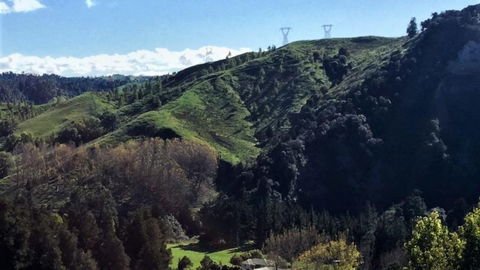 Mt Huia Farmstay - Hodd Cottage - Accommodation New Zealand 15