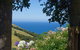 Paua Bay Farmstay - thumb 0