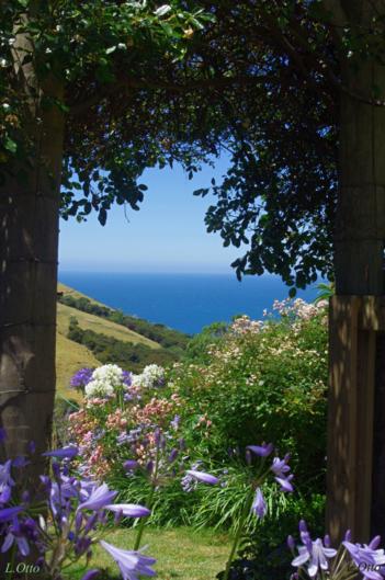 Paua Bay Farmstay - Accommodation New Zealand 0