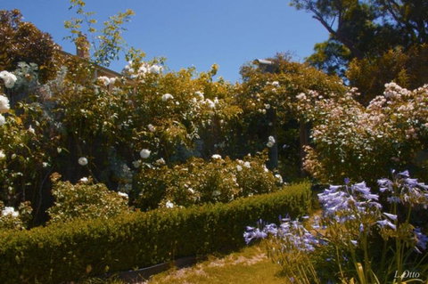 Paua Bay Farmstay - Accommodation New Zealand 1