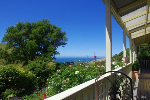 Paua Bay Farmstay - Accommodation New Zealand 2