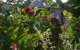 Paua Bay Farmstay - thumb 3